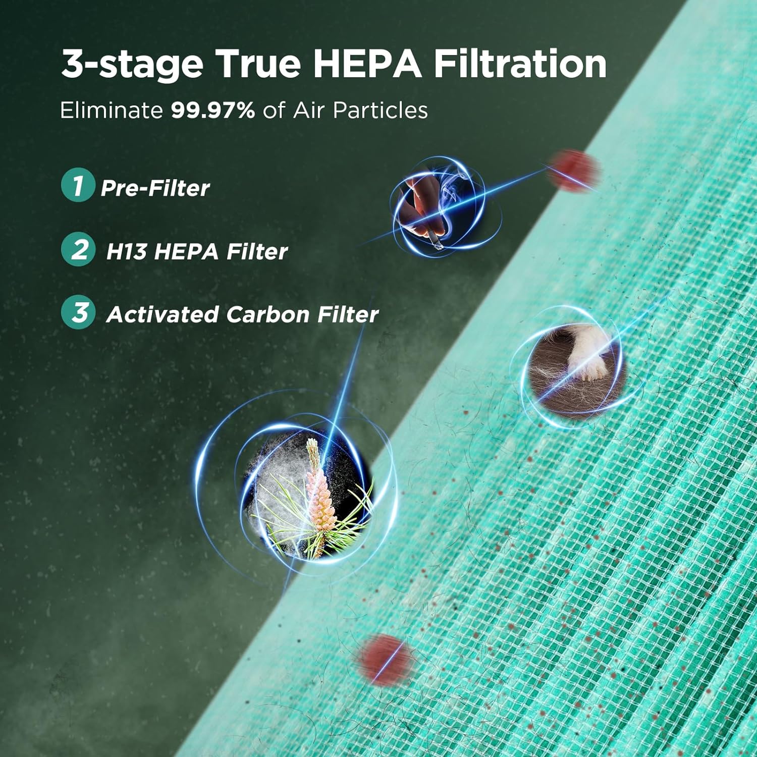 H13 HEPA Air Purifier – Quiet & Powerful