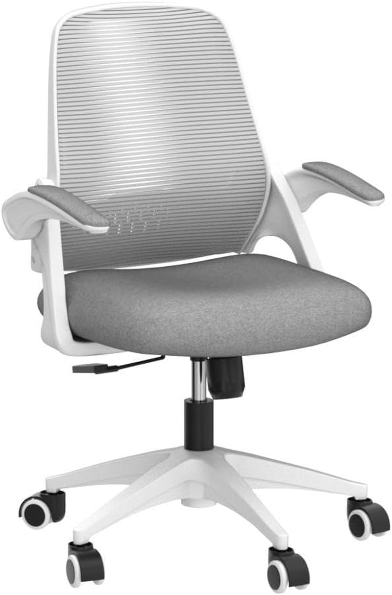 Ergonomic Desk Chair with Lumbar Support