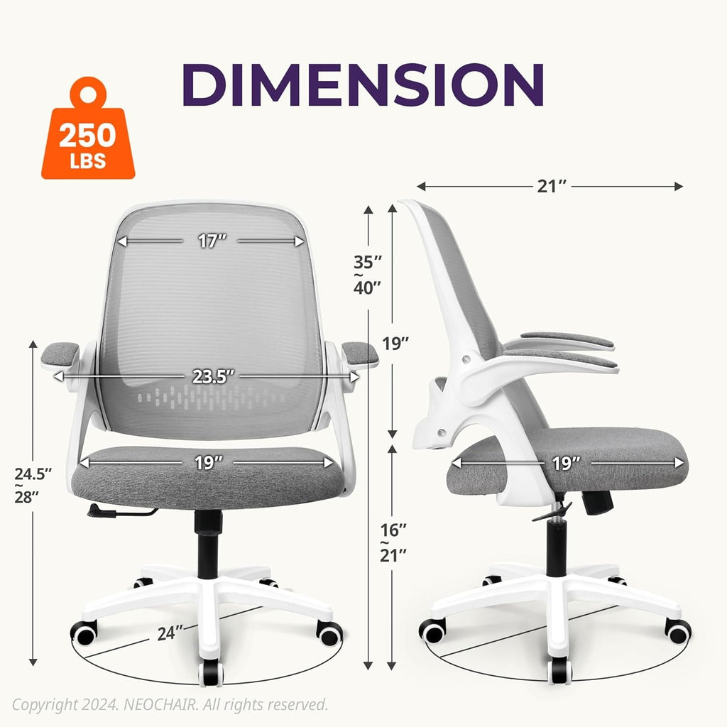 Ergonomic Desk Chair with Lumbar Support
