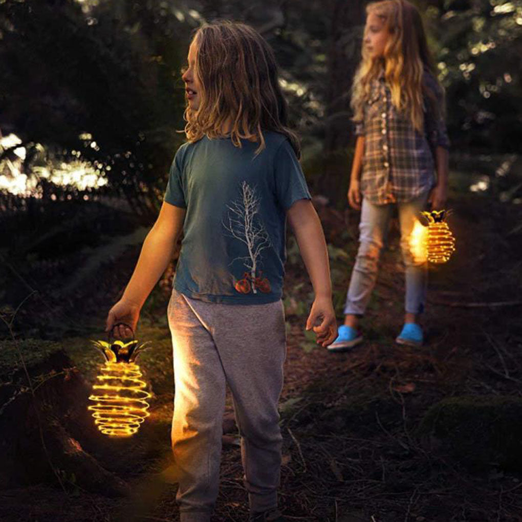 Pineapple Solar Path Lights