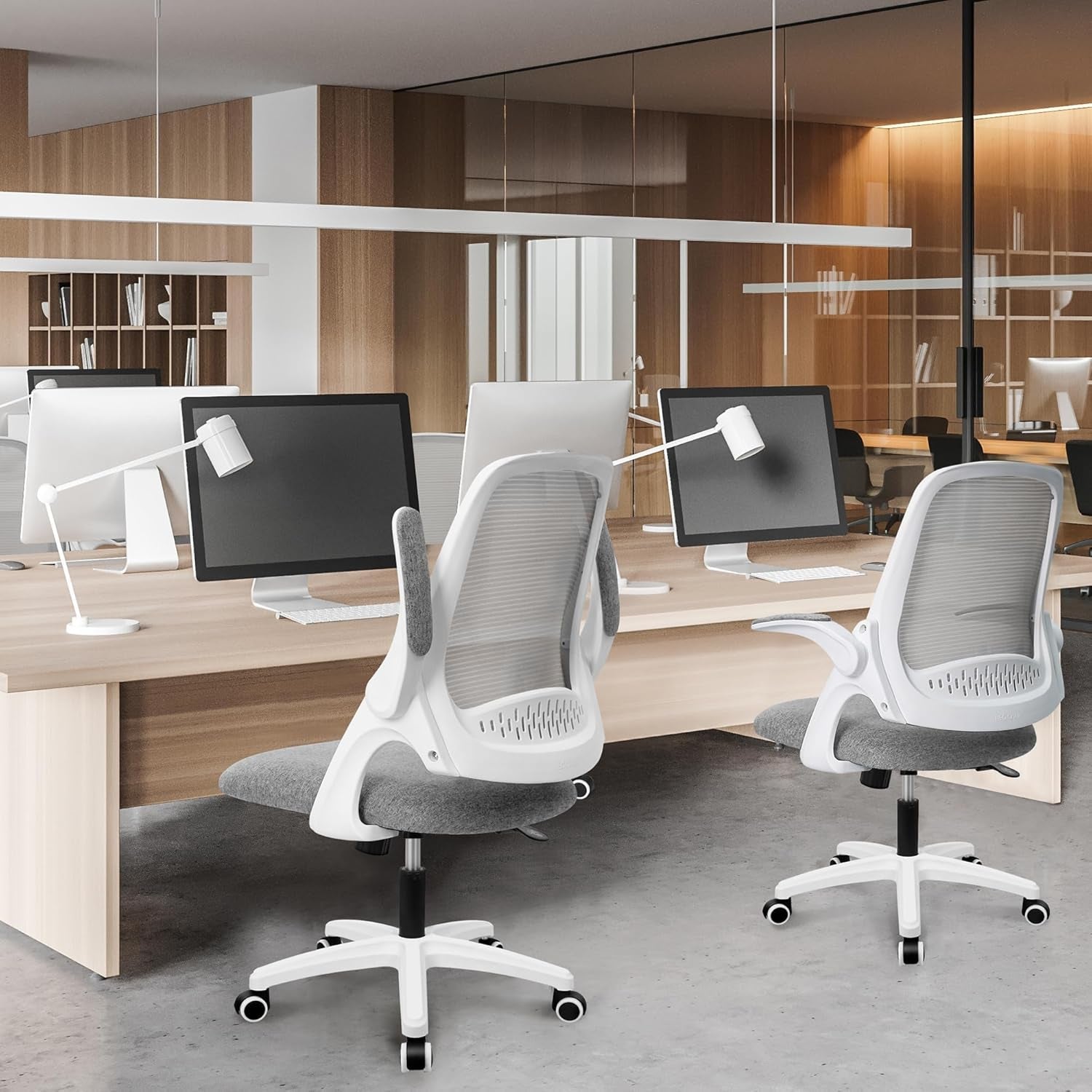 Ergonomic Desk Chair with Lumbar Support