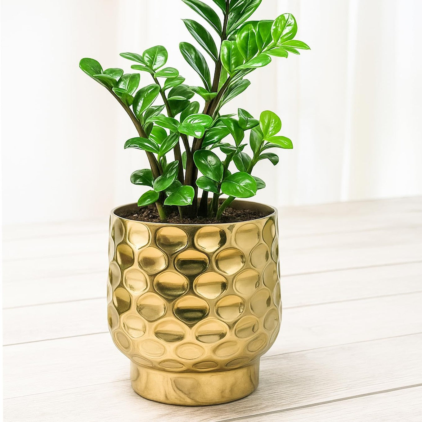 Gold Metal Planter Indoor Decor Pot