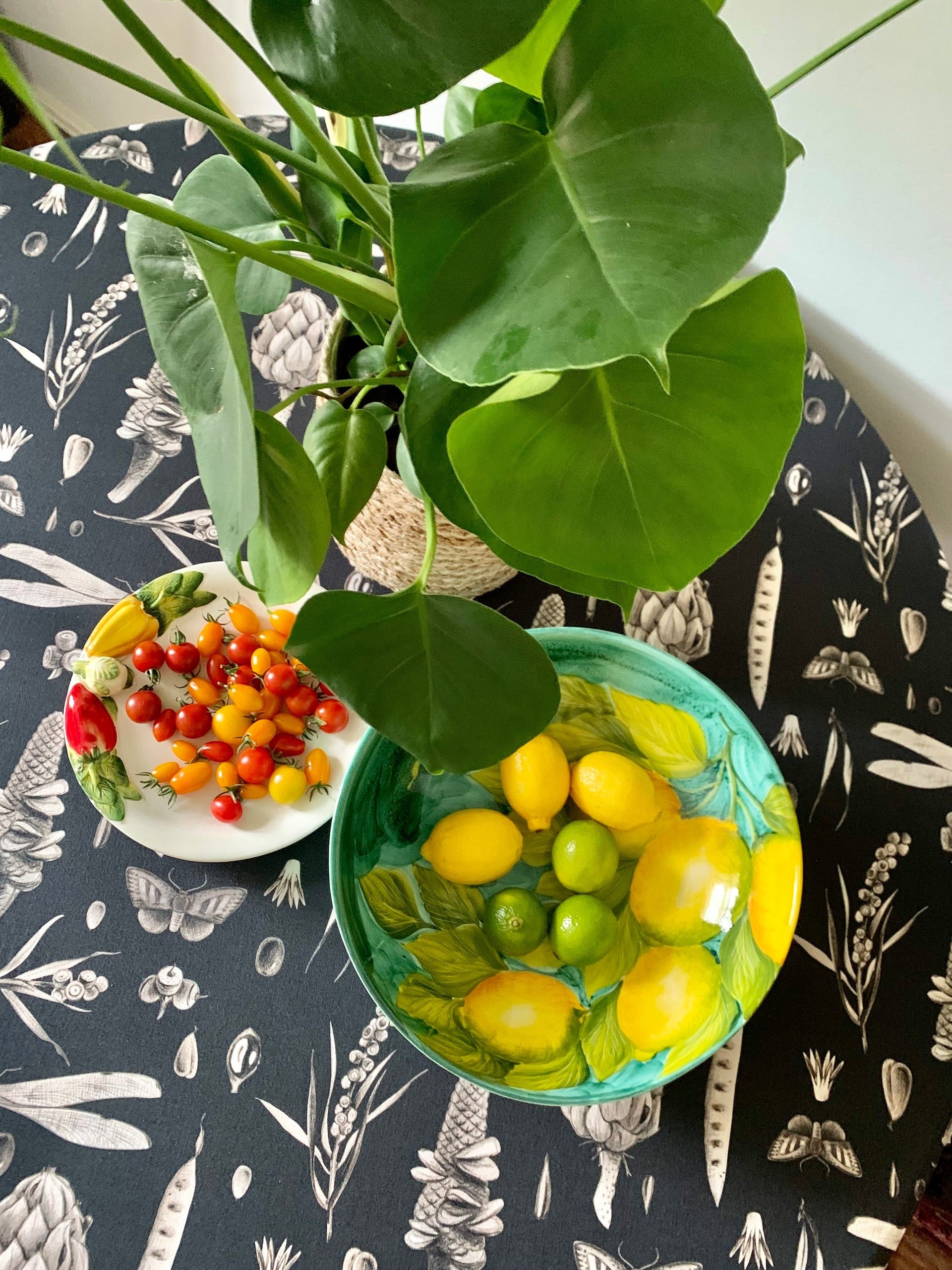 Round Tablecloth - Seeds Carbon